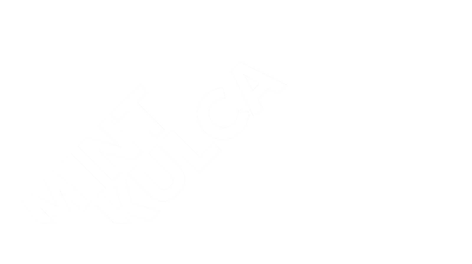 Mint White Logo on Clear left orientation-2